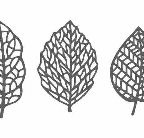 Silikonowe maty do cukrowych koronek