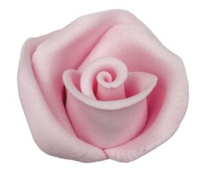 Róża 12 szt. w op.