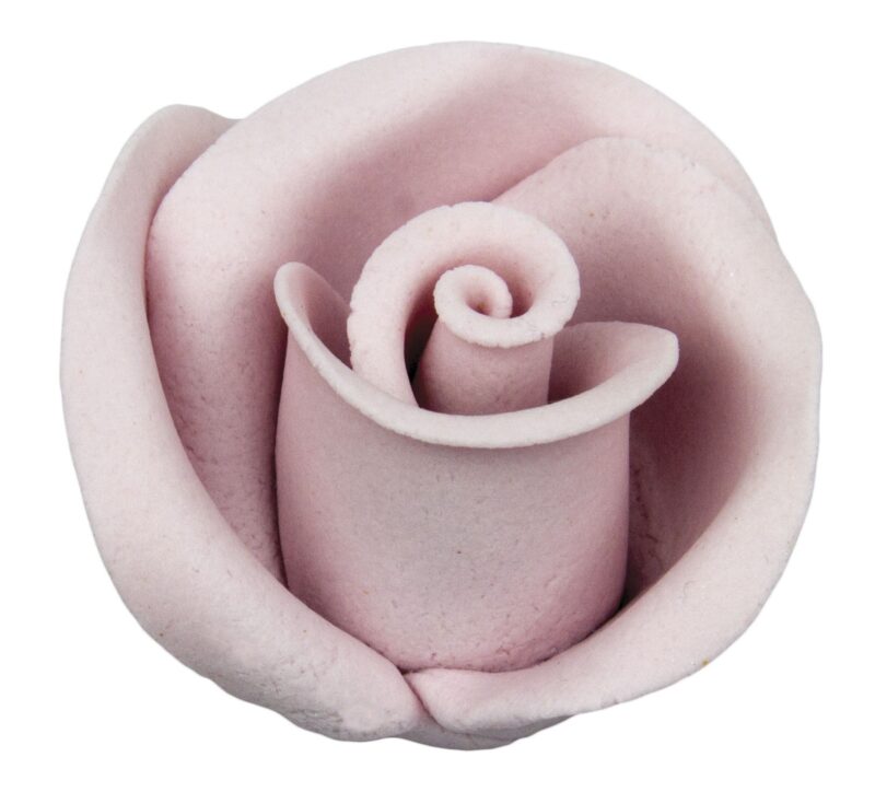 Róża 12 szt. w op.