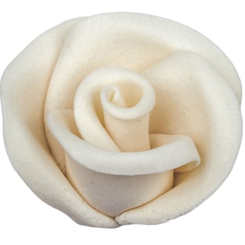 Róża 12 szt. w op.