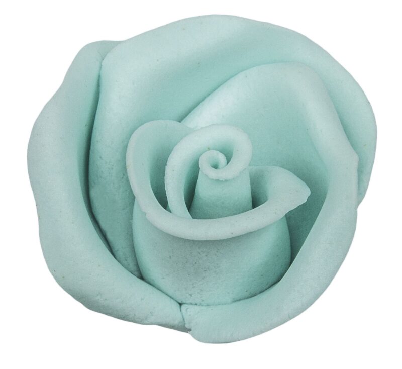 Róża 12 szt. w op.