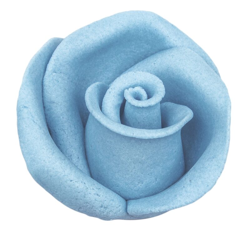 Róża 12 szt. w op.