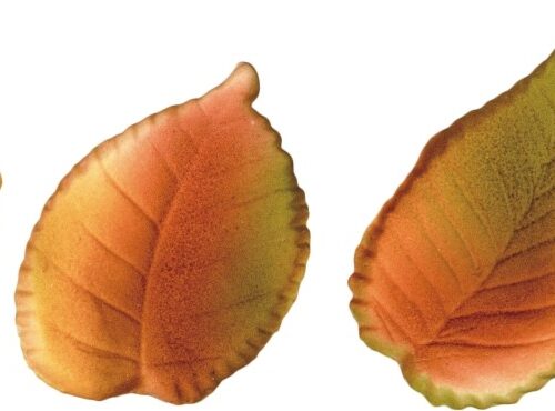 Liście cieniowane jesienne 6szt.