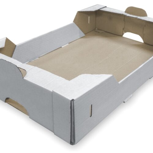 Skrzynka transportowa