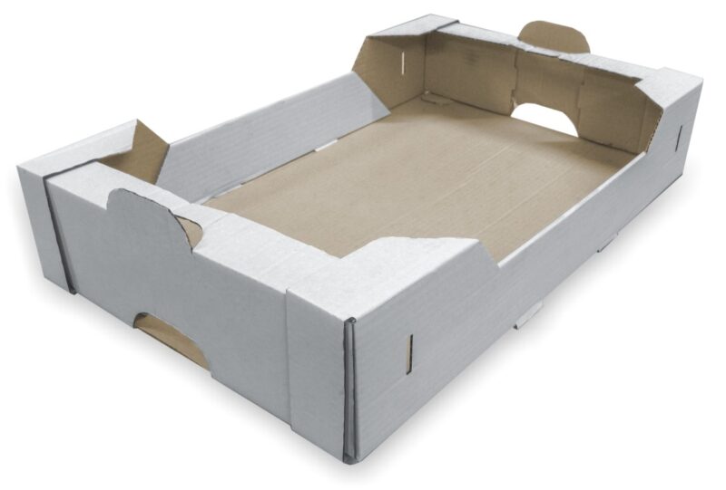 Skrzynka transportowa