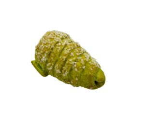 Cannoli stożkowe pistacjowe - 120szt.