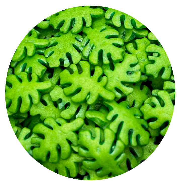 Konfetti Monstera Perłowa zielona 200g