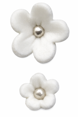 Niezapominajka z perełką