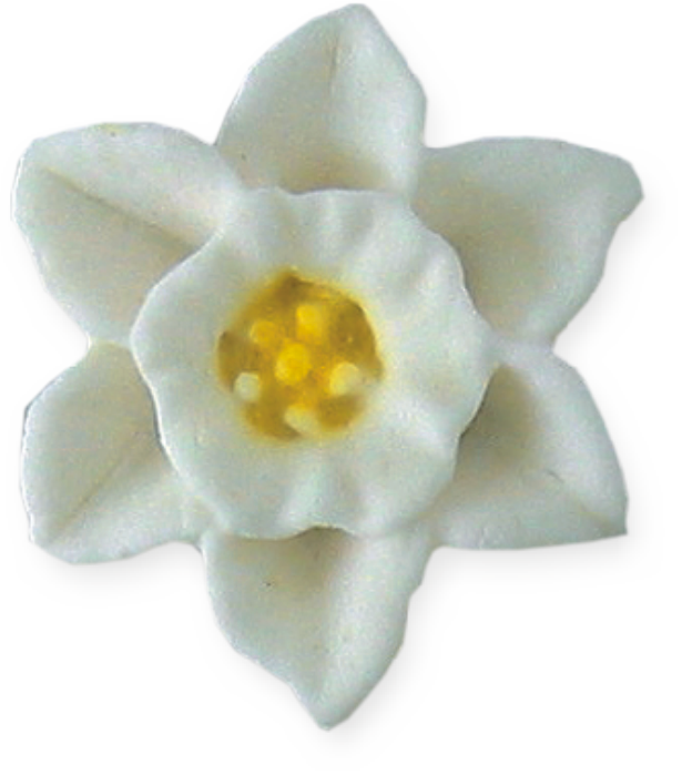 01 Kwiaty i Liscie_001_707_A_1 Narcyz biały 6szt.