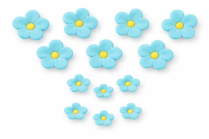 Niezapominajka błękitna