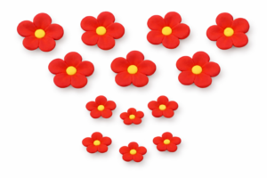 Niezapominajka czerwona