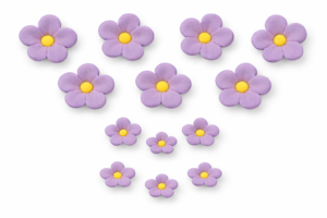 Niezapominajka fioletowa