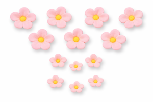 Niezapominajka różowa