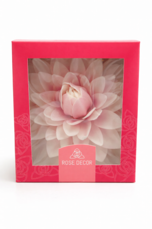 0A21F6E8-7FD9-4296-B84B-F70067F3A0B2 Dalia cieniowana różowa1szt.