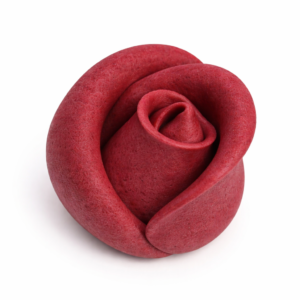 Róża średnia bordowa 30szt