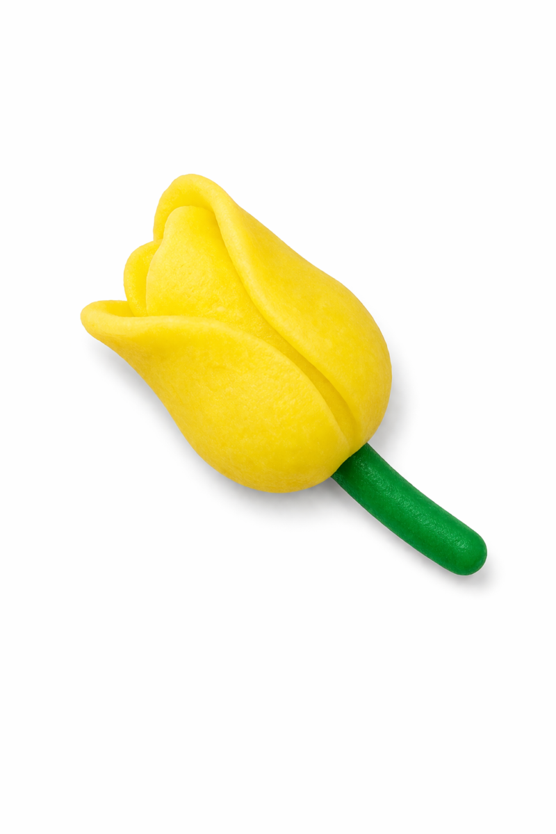 Tulipan żółty12 szt.