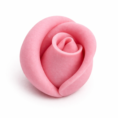 Róża średnia różowa 30szt