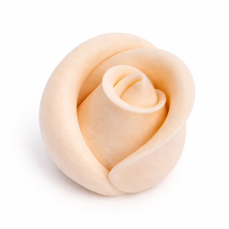 Róża średnia ecru 30szt