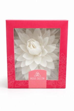 44005C70-47BF-4C9A-834B-8DAFB1146BB1 Dalia biała 1szt.