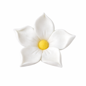 4aa7aa34-47a1-4f4e-b2ea-36c7ae602001 Jaśmin biały