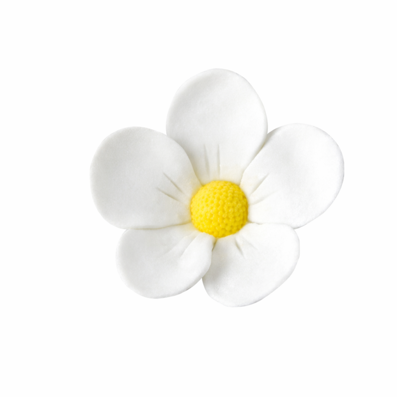 582affe5-245f-4539-b2ec-fead69a69491 Kwiat jabłoni biały