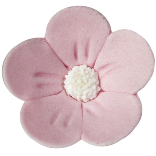 Kwiat jabłoni różowy pastel