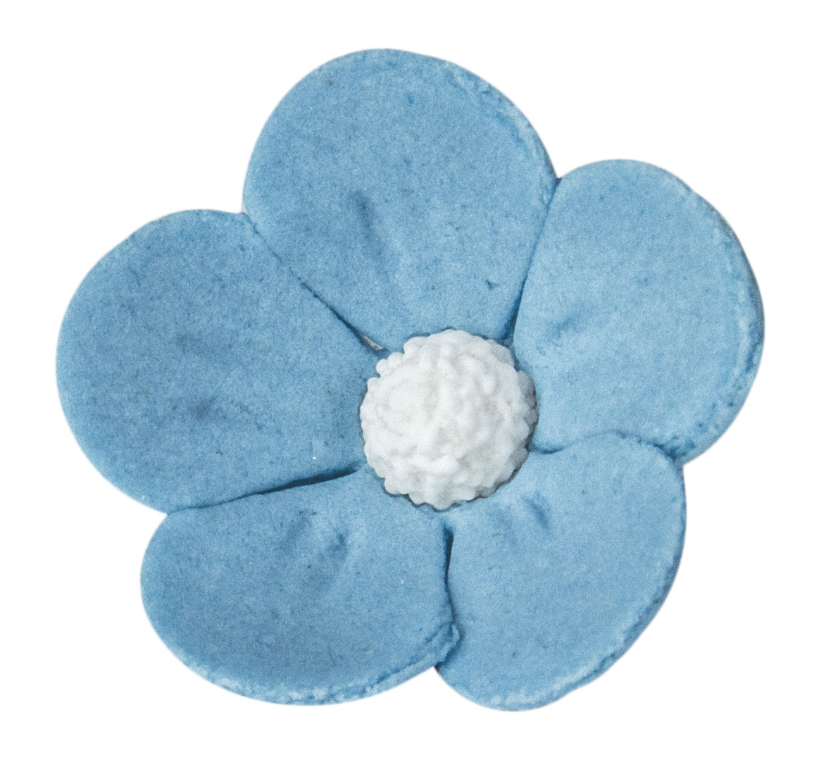 Kwiat jabłoni biały niebieski