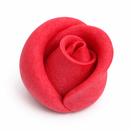 Róża średnia czerwona 30szt