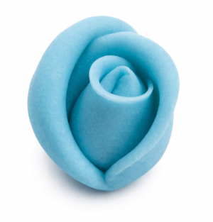 Róża średnia błękitna 30szt