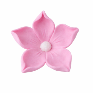 e6cc722f-764f-4c46-8385-47ff9637e1b0 Jaśmin różowy