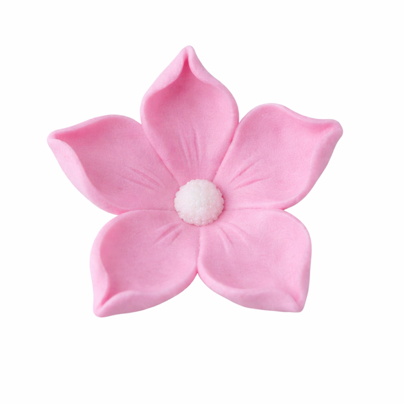 e6cc722f-764f-4c46-8385-47ff9637e1b0 Jaśmin różowy