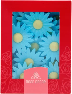 Margaretka NIEBIESKA