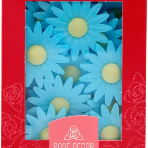 Margaretka NIEBIESKA